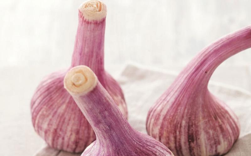 7 Immune Boosting Autumn Vegetables - Sydney Markets