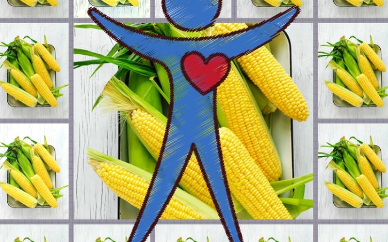 Potassium: Why we Need It and 15 Fruits and Vegetables That Has It - Sydney Markets