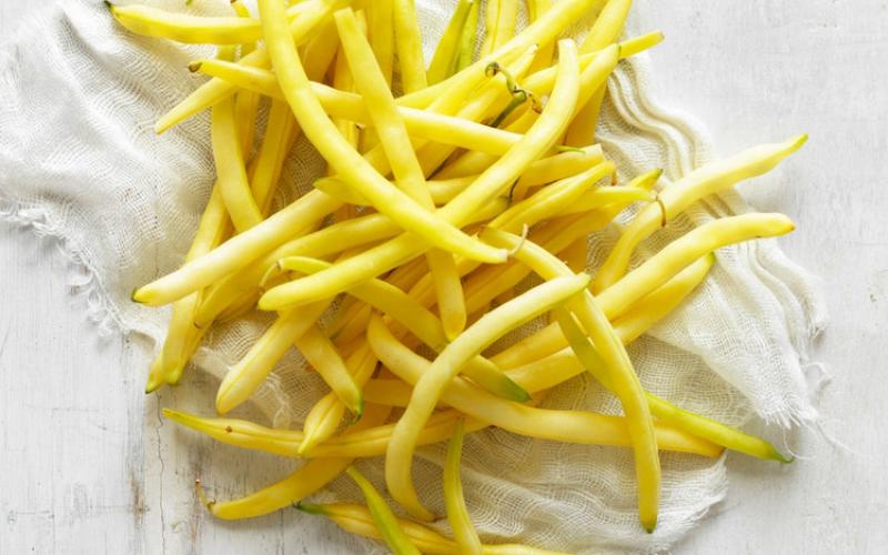 Guide to Fresh and Tasty Beans - Sydney Markets