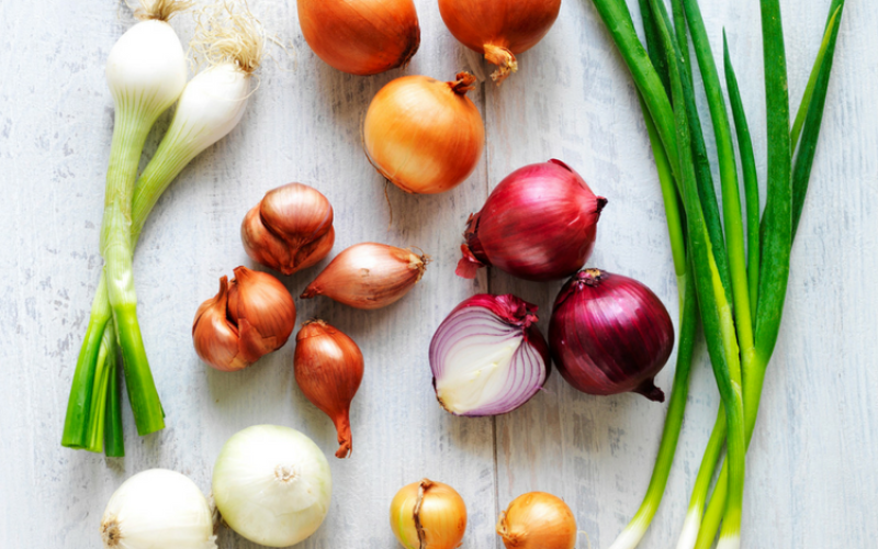 The Definitive Guide to Onions - Sydney Markets