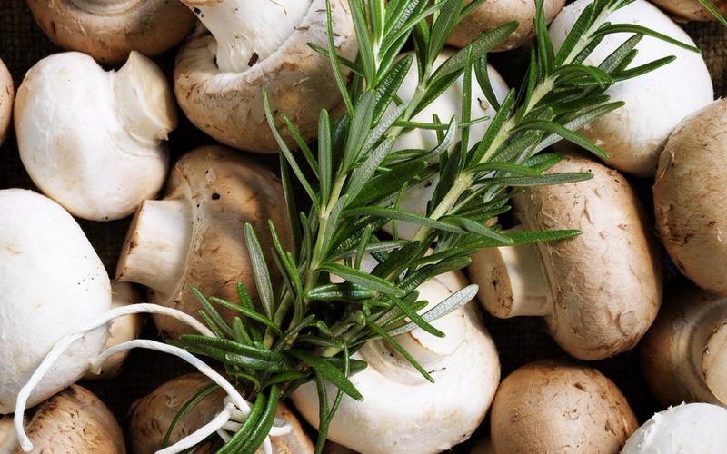 The Herb of Remembrance: Uses & Recipes of Rosemary - Sydney Markets