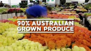 Sydney Markets Introduction 2017