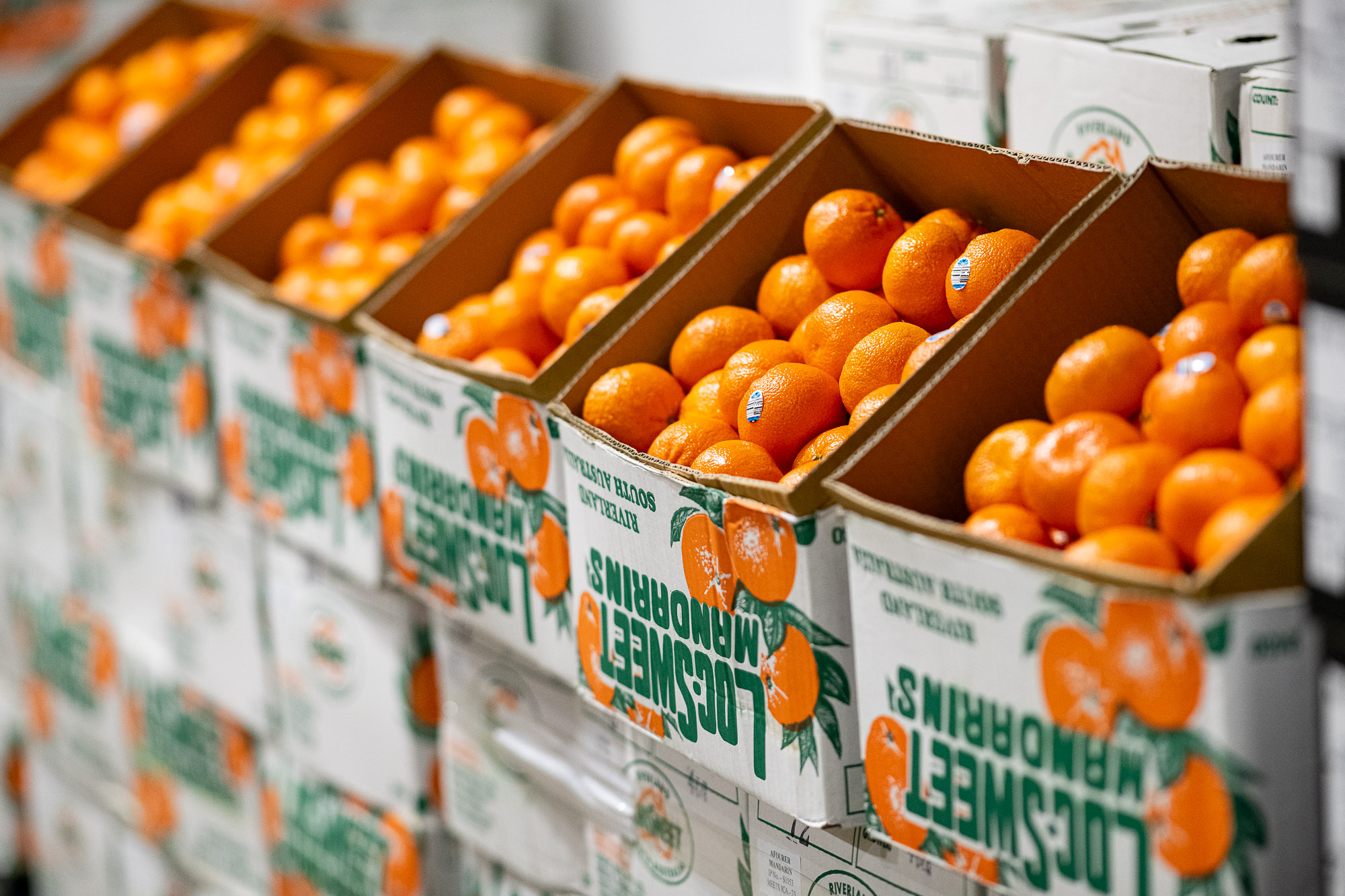 Fresh mandarins packed in wholesale produce boxes