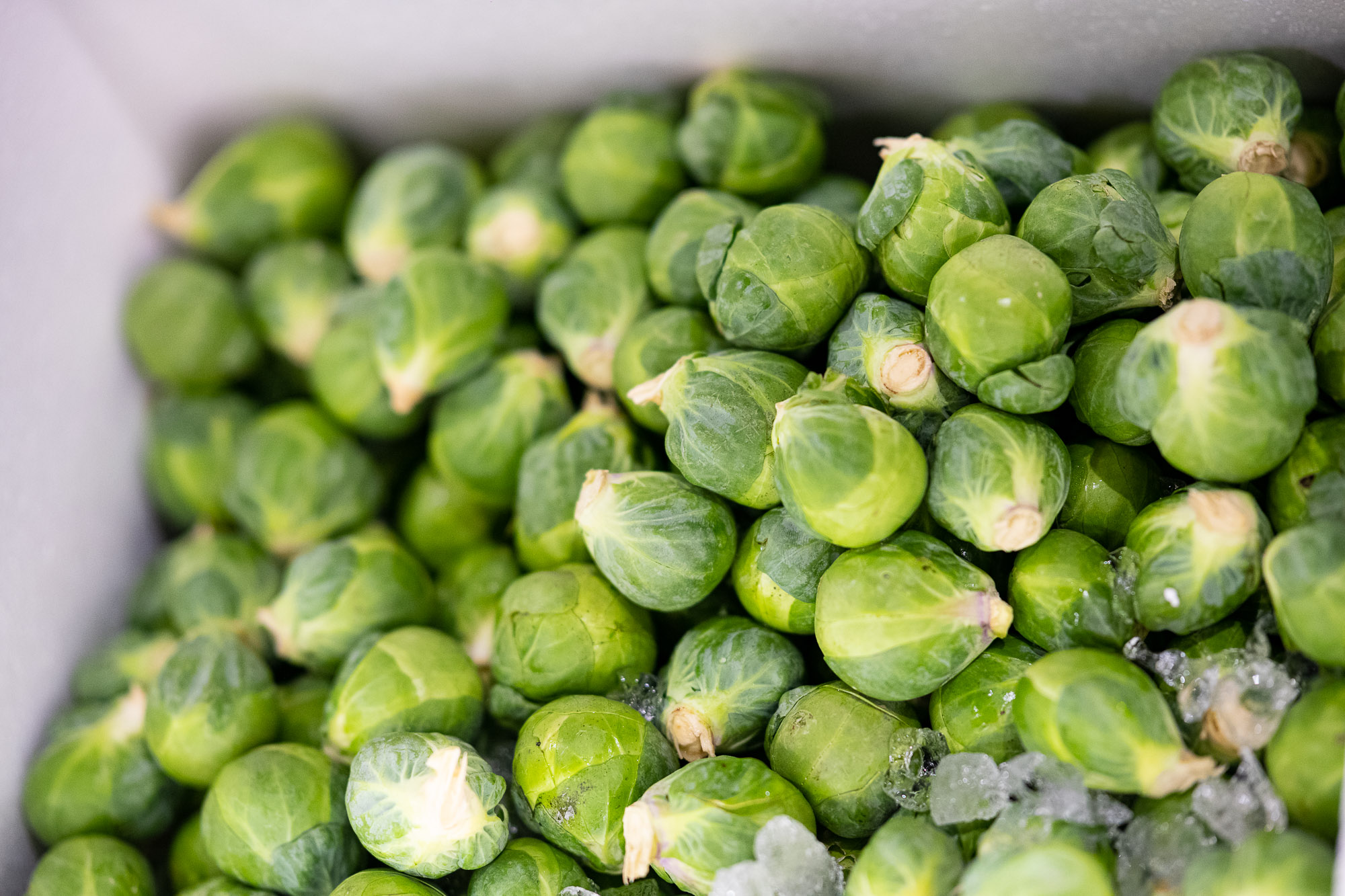 Fresh Brussels sprouts at Sydney Produce Market
