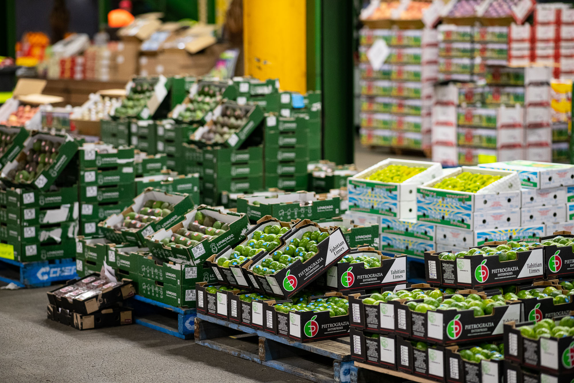 Fresh produce displayed throughout Sydney Produce Market