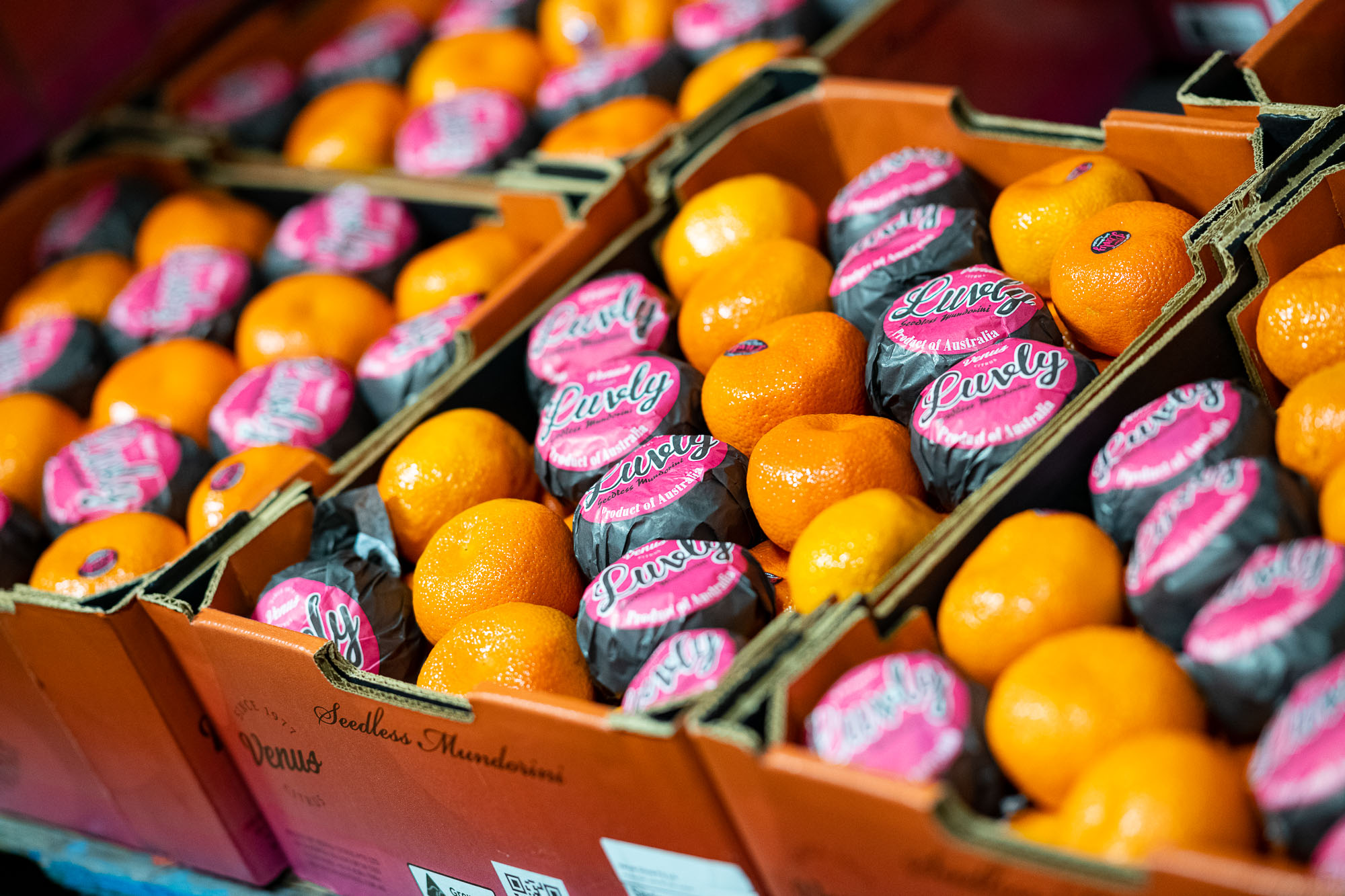 Colourful mandarins prepared for wholesale trade